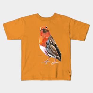 Robin 2 Kids T-Shirt